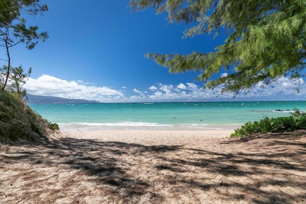 Unit 7 Maui Ohana Modern Studio Wailuku Eksteriør bilde